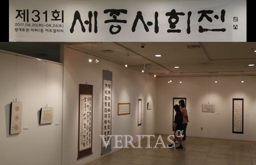 알파세종 이미지