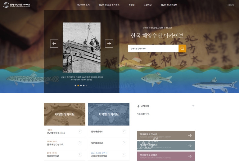 알파수산 이미지