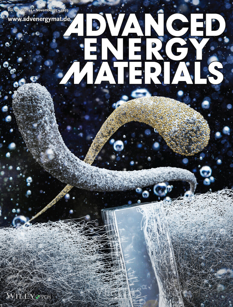 조선대 안성훈 교수 연구팀 '니켈 스펀지 전극' 개발 대표이미지