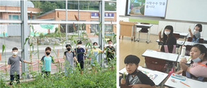 화순오성초등학교 이미지