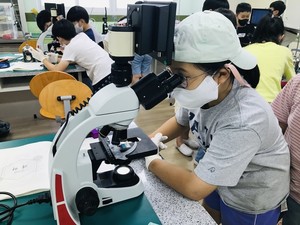 알파나주 이미지