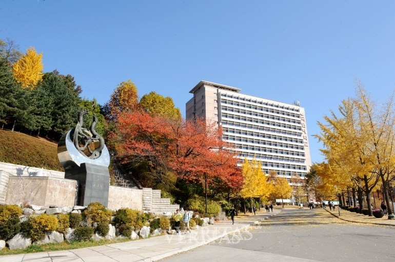 국민대는 2021 KMU직업탐색(Ⅰ)을 진행한다고 최근 밝혔다. /사진=국민대 제공