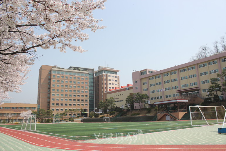 경기외고가 전편입생을 모집, 18일까지 접수한다. /사진=베리타스알파DB