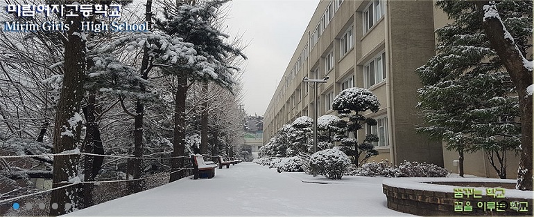  미림여고가 22일 미림여고 다목적실에서 입시설명회를 연다고 최근 밝혔다. /사진=미림여고 홈페이지