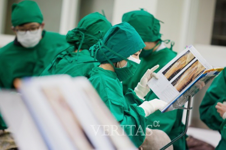 복지부의 의대 정원 확대 수요조사에서 전국 의대는 2025학년 최대 2847명, 2030년까지 최대 3953명을 더 늘리기를 희망하는 것으로 나타났다. /사진=베리타스알파DB