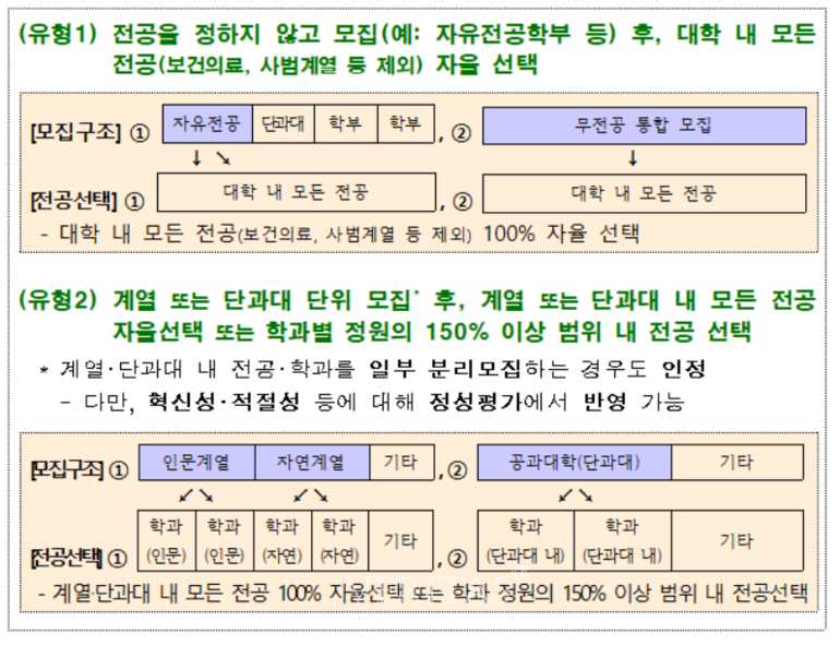 2025학년부터 무전공 선발을 확대한 대학은 대학혁신지원사업에서 가산점을 받는다. /사진=교육부 제공