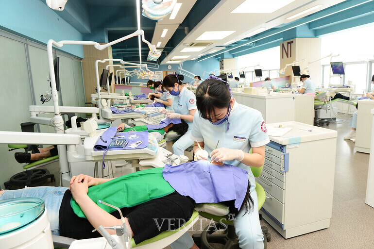 2023년 전문대 학사학위 전공심화과정의 재학생/졸업생 만족도가 상승한 것으로 나타났다. 사진은 대구보건대 치위생학과 수업 실습 현장. /사진=전문대교협 제공