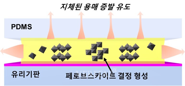 전북대는 김민 교수팀이 페로브스카이트 효율 높일 단결정 소자를 개발했다고 28일 밝혔다/사진=전북대 제공