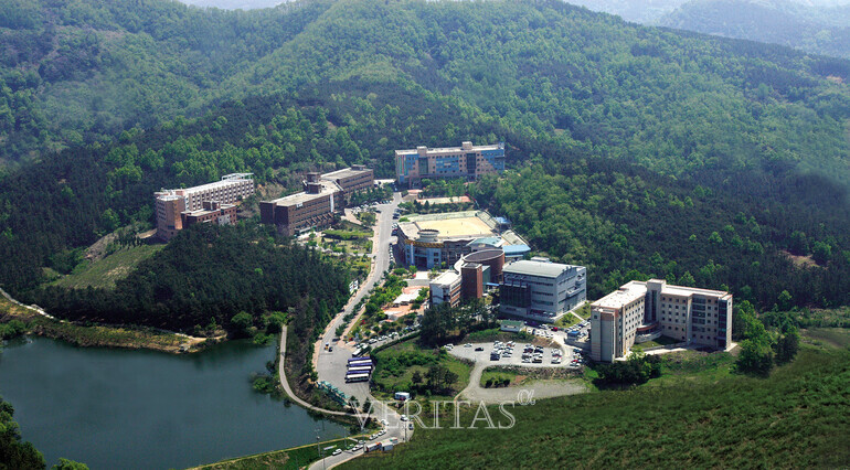 대경대가 2025수시에서 정원내 기준 1398명을 모집한다. /사진=대경대 제공