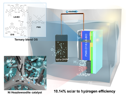 통합된 광전극과 NiFe-OH 양극으로 구성된 전체 장치의 개략도/사진=성균관대 제공