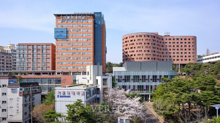 /사진=가톨릭대 제공