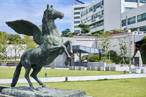 참빛영재교육 이미지