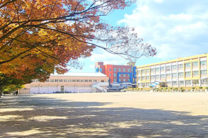 글로벌창의융합코칭센터 이미지
