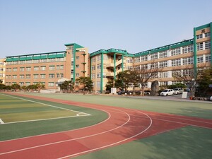 법인자연캠 이미지