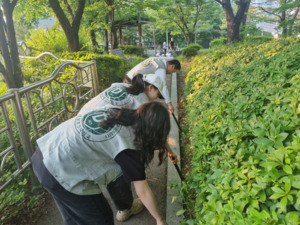대전스카이연합，세종스카이 이미지