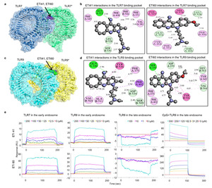아주대 첨단바이오/의대/응용화학과 공동연구 Nature Portfolio '실험 및 ... - 뉴스 썸네일 이미지