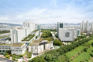 [2027의대잣대] 뉴스위크 세계 특화 병원 13개 분야 순위.. 서울아산 6개 톱 ‘최다’ 세브란스(3개) 서울대/삼성서울(2개) 순 ‘빅5 위력’